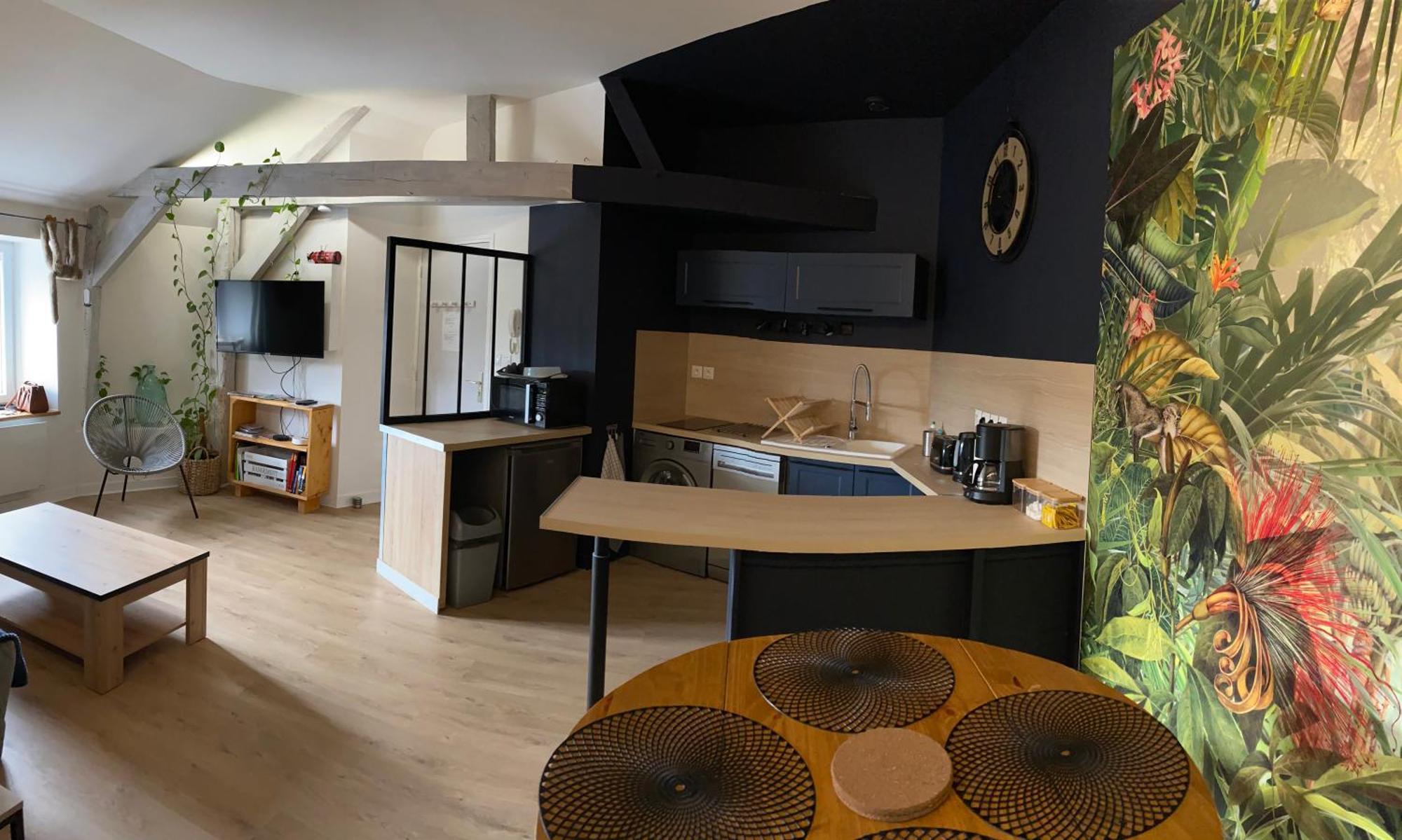 Appartement Latypique Family Bourges